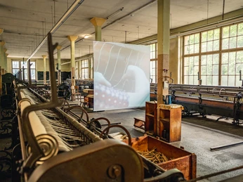 Tuchfabrik Gebr. Pfau Crimmitschau Historische Industriemaschinen in alter Tuchfabrik mit großem Fenster.Historic industrial machinery in an old cloth factory with a large window.Historické průmyslové stroje ve staré továrně na látky s velkým oknem.Zabytkowe maszyny przemysłowe w starej fabryce tkanin z dużym oknem.Historische industriële machines in een oude lakenfabriek met een groot raam.Macchinari industriali storici in una vecchia fabbrica di tessuti con una grande finestra.