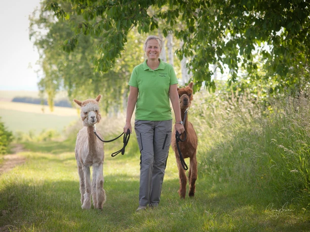 Alpakawanderung durch die Natur