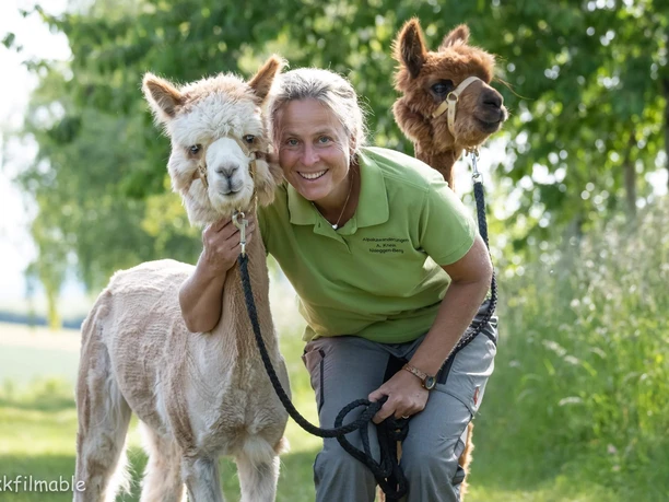 Kuscheln mit Alpakas