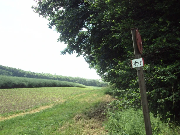 Salzgitter Höhenzug, Trennung Wanderwege 12 und 18 am Feldweg