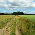 Salzgitter Höhenzug, Feldweg Wanderweg 18