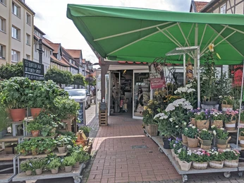 Blume2000 Blumensortiment