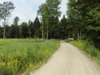 Salzgitter Höhenzug, Wanderweg 21 breiter Weg