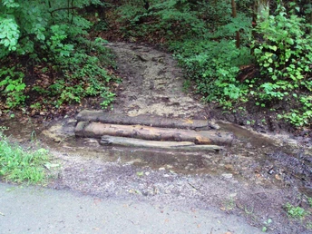 Salzgitter-Gebhardshagen, Waldausgang Wanderweg 21