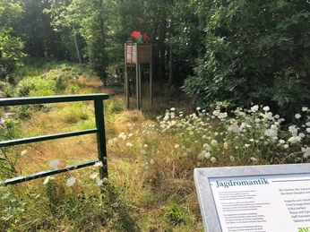 Hochsitz Ein Hochsitz am Waldrand, umgeben von hohen Bäumen und blühenden Wildblumen auf einer Wiese.