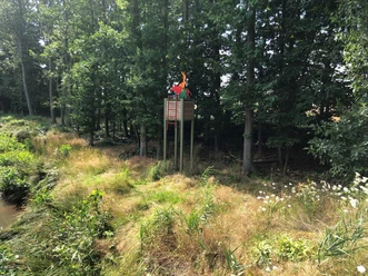 Hochsitz Ein Hochsitz aus Holz steht erhöht im Wald am Waldrand, umgeben von Bäumen und üppigem Gras.