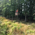 Hochsitz Ein Hochsitz aus Holz steht erhöht im Wald am Waldrand, umgeben von Bäumen und üppigem Gras.