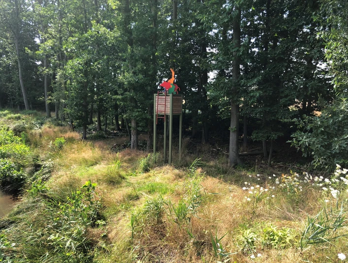 Hochsitz Ein Hochsitz aus Holz steht erhöht im Wald am Waldrand, umgeben von Bäumen und üppigem Gras.