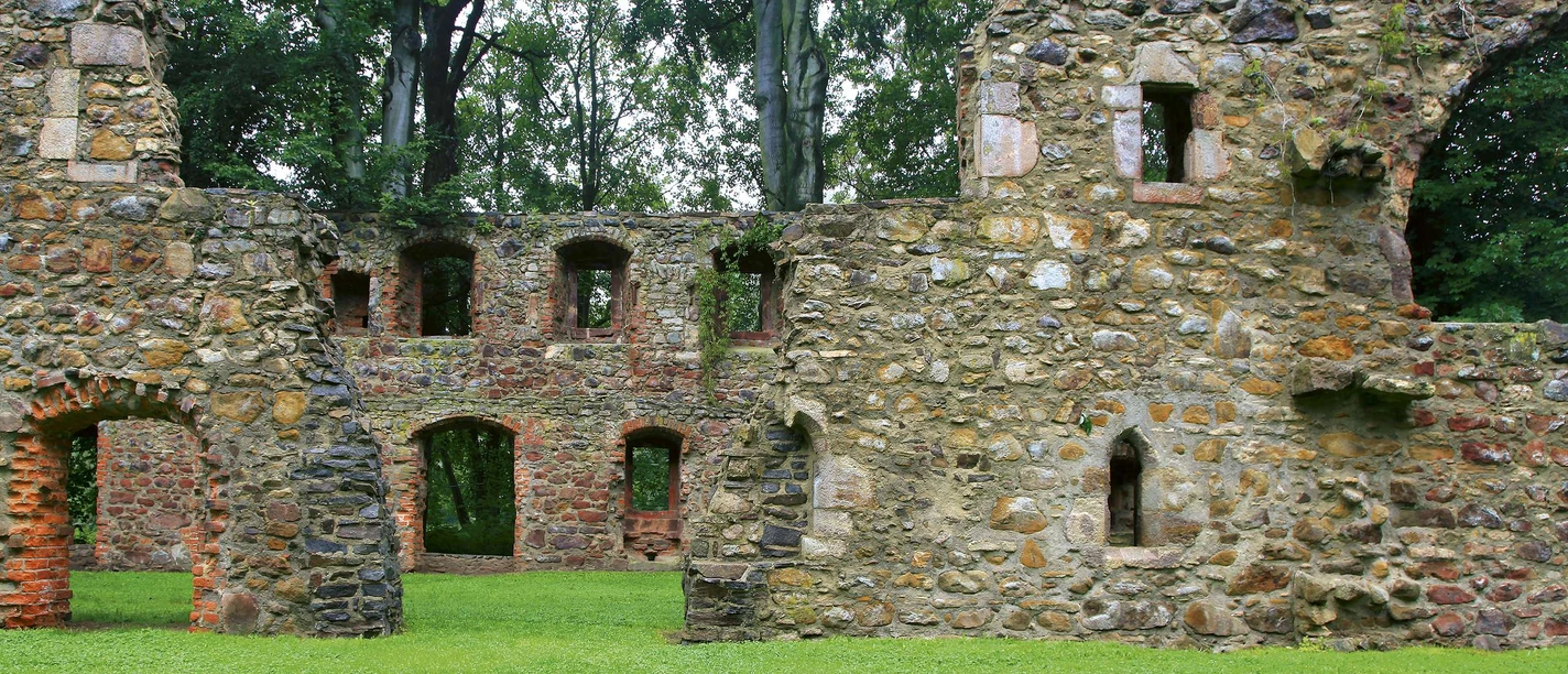 Stone ruins of the Nimbschen monastery in a green landscape surrounded by trees.