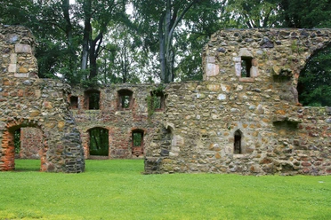 Grimma_Kloster Nimbschen_Archiv TMGS_Rene Pech.jpg (10).jpg Steinruinen des Klosters Nimbschen in grüner Landschaft, umgeben von Bäumen.