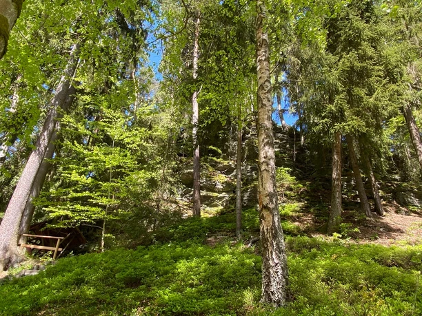 Theresenruh in Bad Elster