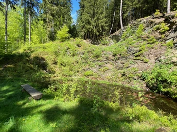 Teufelssee am Brandbachweg Bad Elster