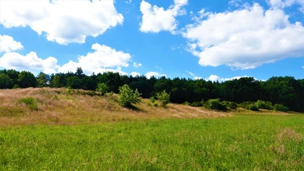 Geestgrenze