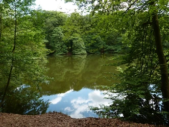 Rundweg 15.jpg