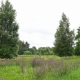 Naturschutzgebiet Schaapmoor