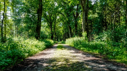 Historische Straße