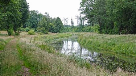 Nordradde