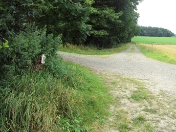 Salzgitter Höhenzug, Wanderwege 29 und 30 Weggabelung