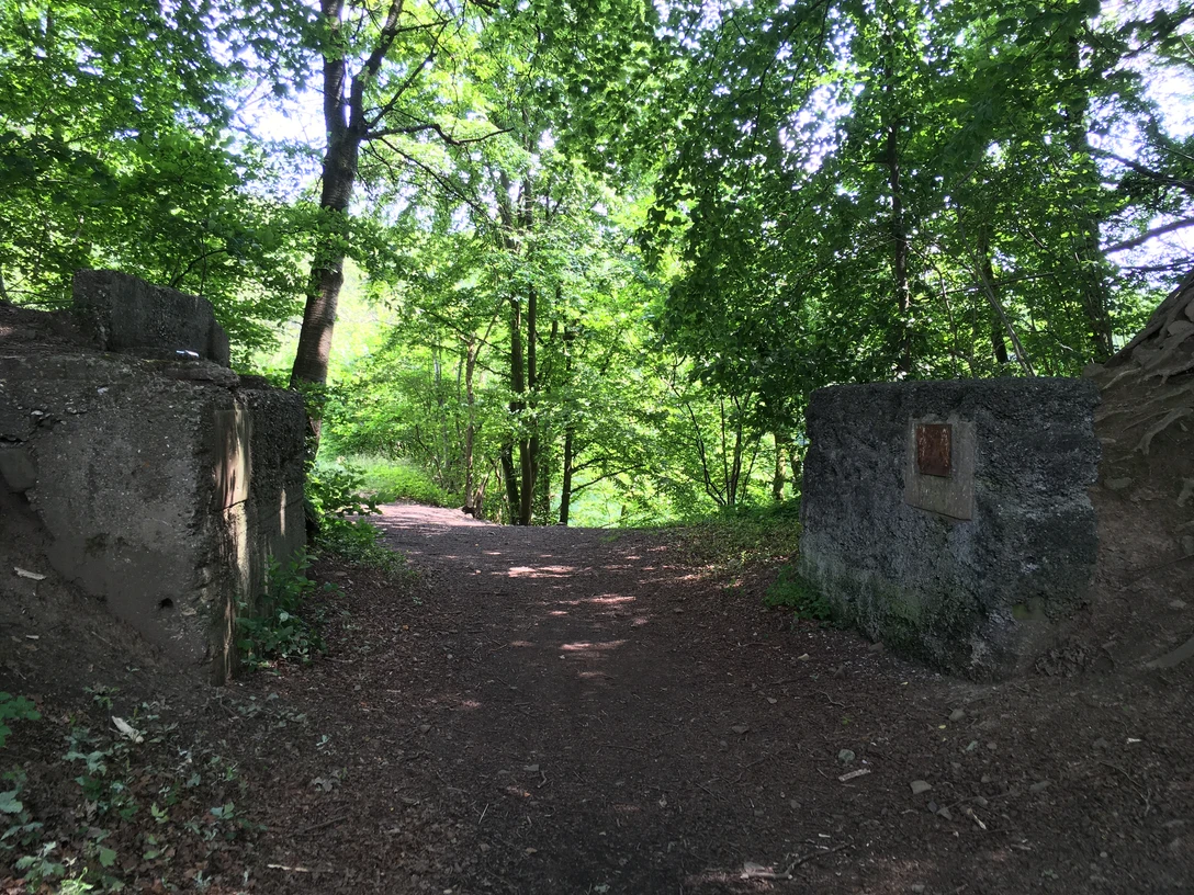 Führung über den Naturerlebnispfad EXPEDITION HIMBERG
