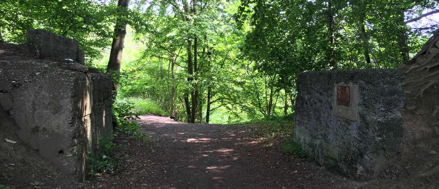 Führung über den Naturerlebnispfad EXPEDITION HIMBERG