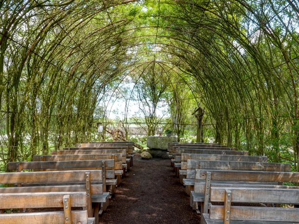 Holzkirchenbänke unter grünem Weidendach, das einen offenen Kirchraum in der Natur bildet.