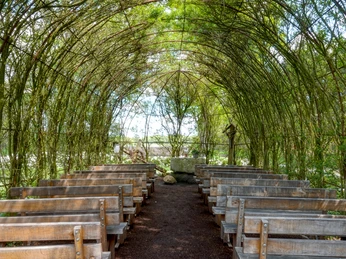 Weidenkirche Börger ©Naturpark Hümmling Holzkirchenbänke unter grünem Weidendach, das einen offenen Kirchraum in der Natur bildet.