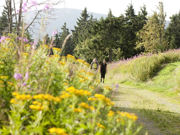 Mit dem Rucksack das Erzgebirge entdecken Mit dem Rucksack das Erzgebirge entdecken