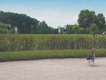 Golfen am Römerhof