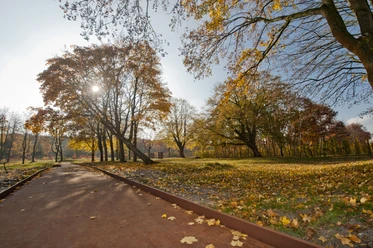 Gedenkstätte Esterwegen Baumallee mit herbstlich gefärbten Blättern und barrierefreiem Weg unter klarem Himmel.
