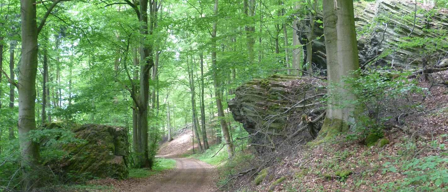 Brasselsberg.jpg
