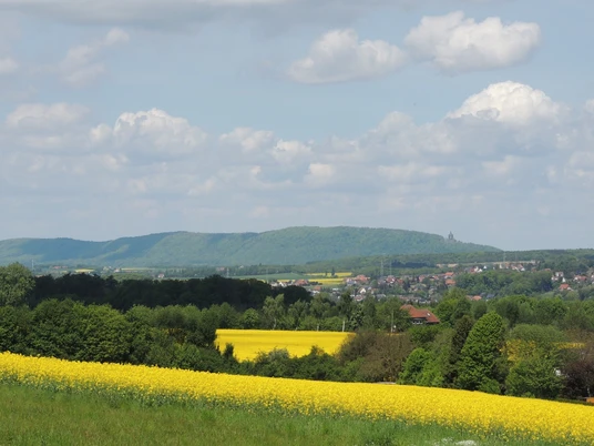 Panorama mit gelben Rapsfeldern, grünen Hügeln und dem Kaiser-Wilhelm-Denkmal am Horizont.
