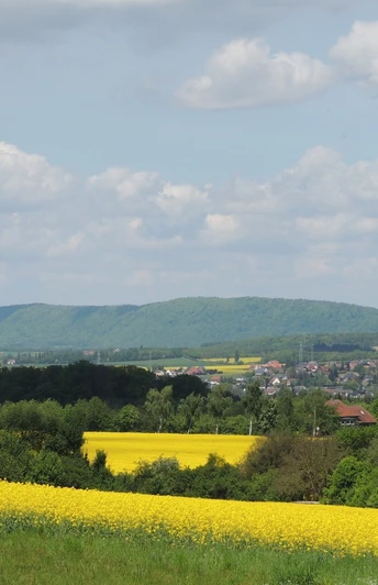 Ausblick vom Aussichtspunkt auf Kaiser-Wilhelm-Denkmal Panorama mit gelben Rapsfeldern, grünen Hügeln und dem Kaiser-Wilhelm-Denkmal am Horizont.