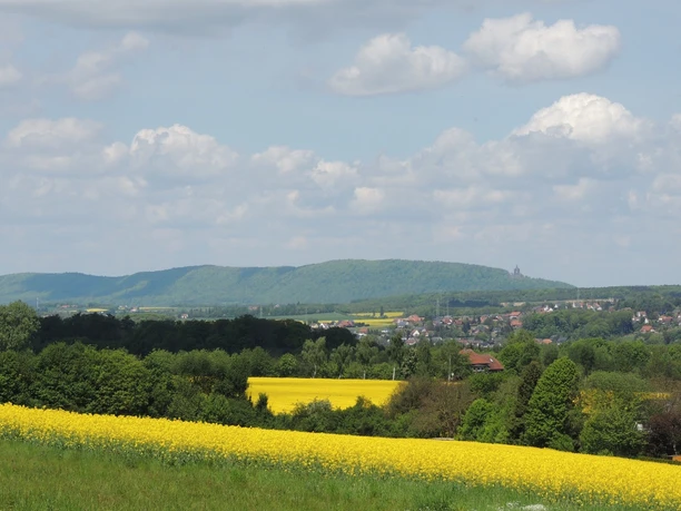 Ausblick vom Aussichtspunkt auf Kaiser-Wilhelm-Denkmal Panorama mit gelben Rapsfeldern, grünen Hügeln und dem Kaiser-Wilhelm-Denkmal am Horizont.