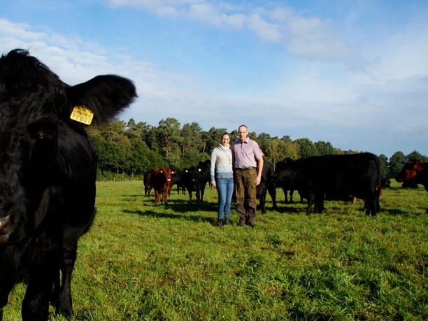 Die Angus-Rinder vom Buschhof Schröder Die Angus-Rinder vom Buschhof Schröder