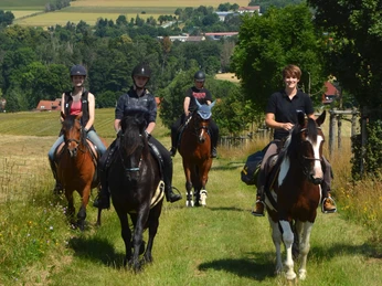 Hasselfelde - geführter Ausritt mit eigenem Pferd