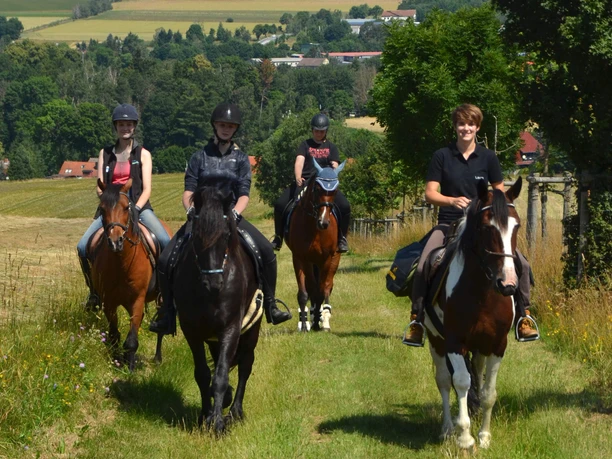 Hasselfelde - geführter Ausritt mit eigenem Pferd Hasselfelde - geführter Ausritt mit eigenem Pferd