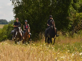 Hasselfelde - geführter Ausritt mit eigenem Pferd