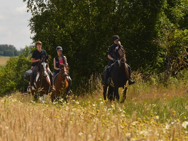 Hasselfelde - geführter Ausritt mit eigenem Pferd Hasselfelde - geführter Ausritt mit eigenem Pferd