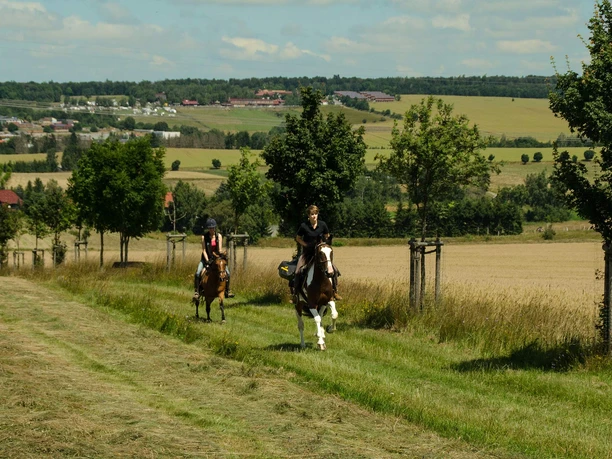 Hasselfelde - geführter Ausritt mit eigenem Pferd Hasselfelde - geführter Ausritt mit eigenem Pferd