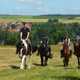 Hasselfelde - geführter Ausritt mit eigenem Pferd