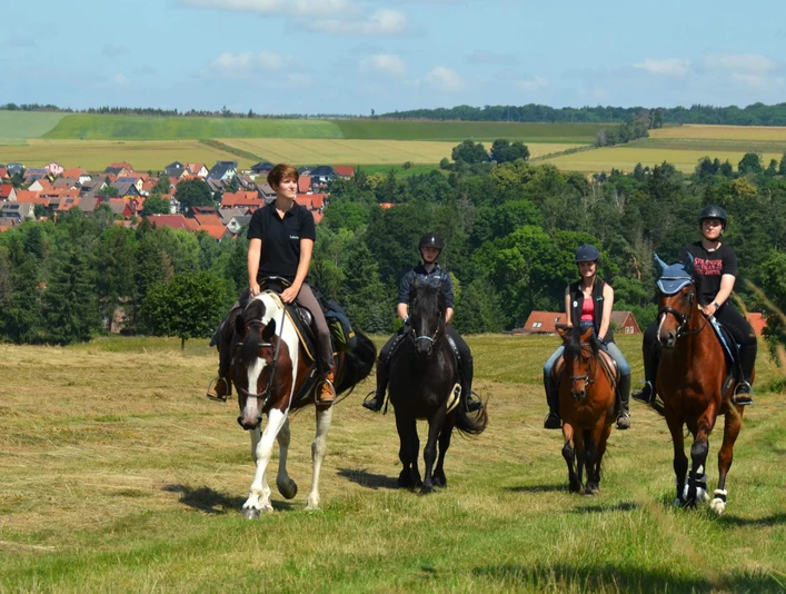 Hasselfelde - geführter Ausritt mit eigenem Pferd