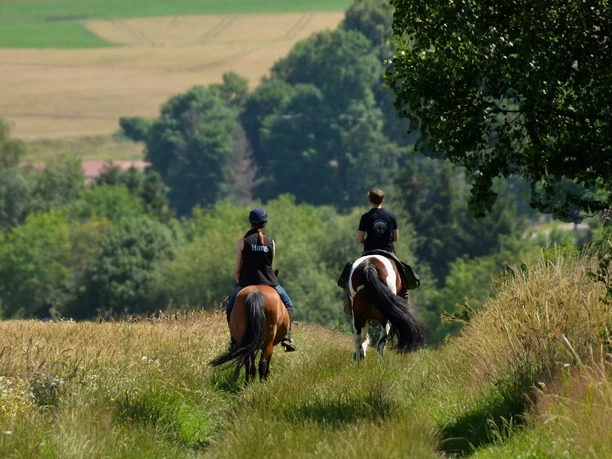 Hasselfelde - geführter Ausritt mit eigenem Pferd Hasselfelde - geführter Ausritt mit eigenem Pferd