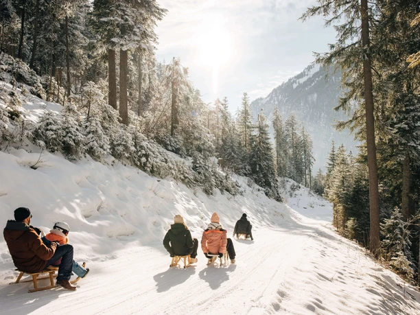 Sledgers are sledging down the snow-covered forest path