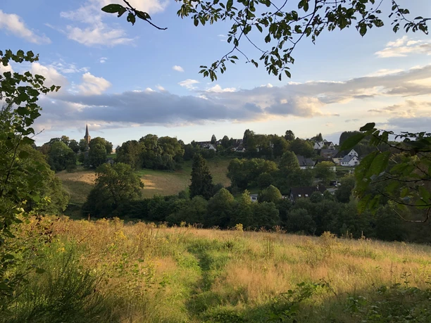 Landschaft in Kürten, mit leicht hügeligen Wiesen, Bäumen und verstreuten Häusern im Abendlicht.
