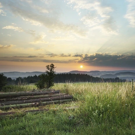 Ein romantischer Sonnenaufgang im Vogtland | Foto: Tino Peisker