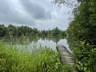 Ziegeleiteich.jpeg Blick auf den Ziegeleiteich mit Steg