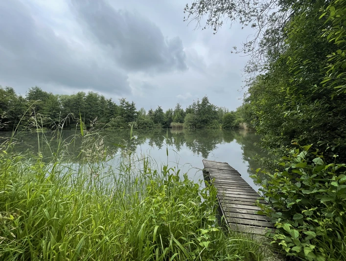 Ziegeleiteich.jpeg Blick auf den Ziegeleiteich mit Steg