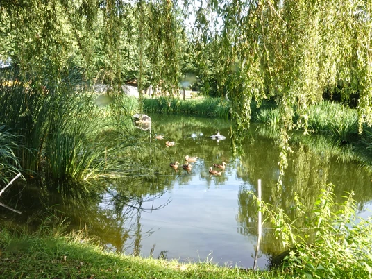 Dorfteich Groß Berßen ©Naturpark Hümmling