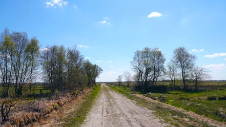Esterwegen Melmmoor Sandweg führt durch eine weite Moorlandschaft mit jungen Bäumen unter blauem Himmel.