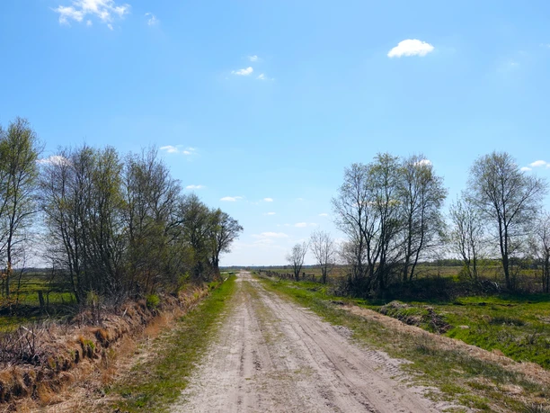 Esterwegen Melmmoor Sandweg führt durch eine weite Moorlandschaft mit jungen Bäumen unter blauem Himmel.